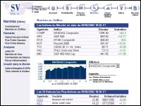 SV International (France)