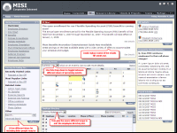 MISI Intranet Design Specs (Snagit)